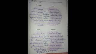 Estudios Sociales 6to pág 110,115📚✍️😊