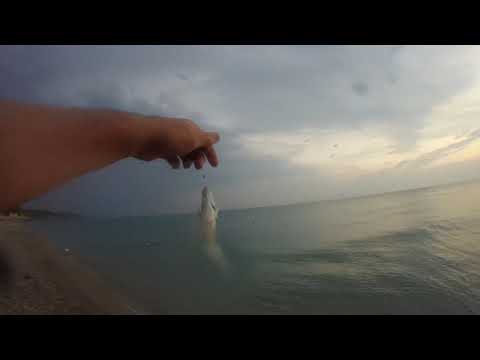 Рыбалка на Чёрном море. Пляж Агой