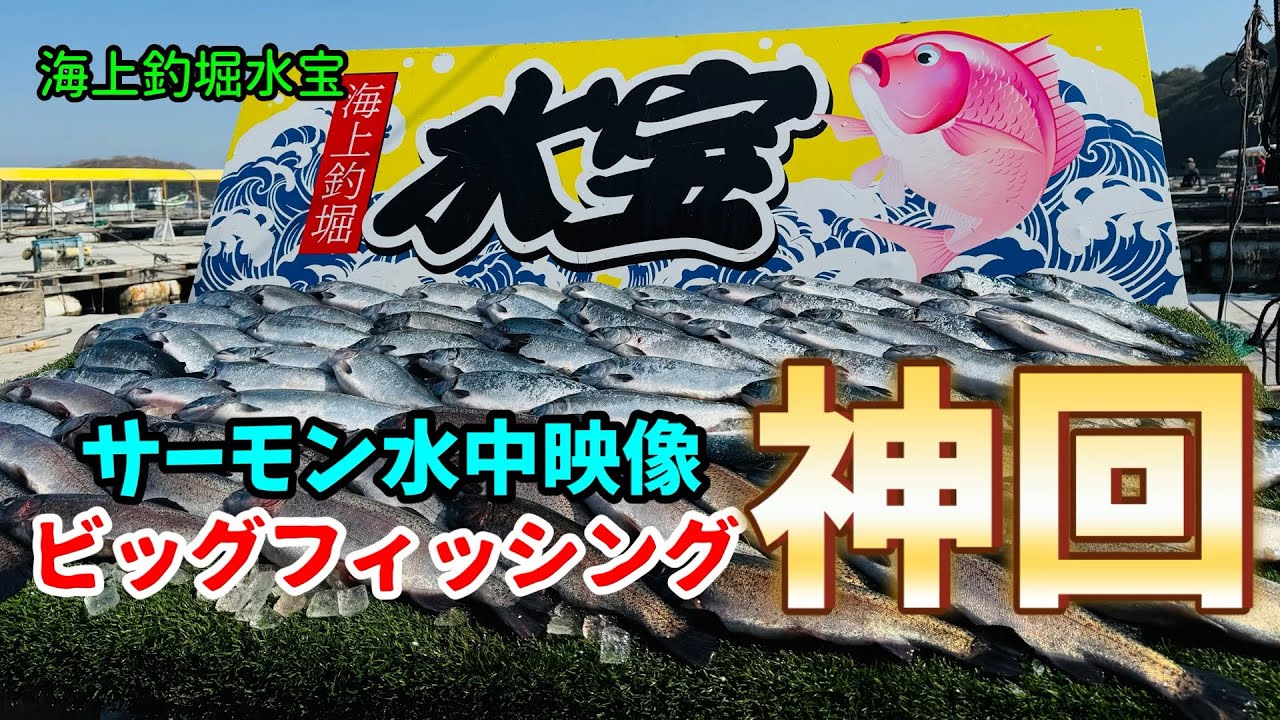 海上釣堀】ビッグフィッシング神回！「貴重サーモン水中映像」‪@p