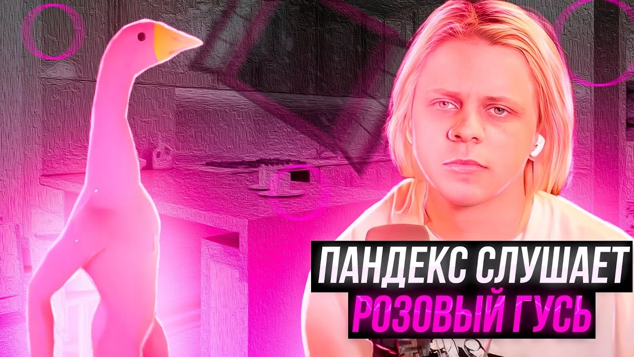 Пандекс слушает розовый гусь | Реакция Пандекса | Песня "Розовый гусь ...