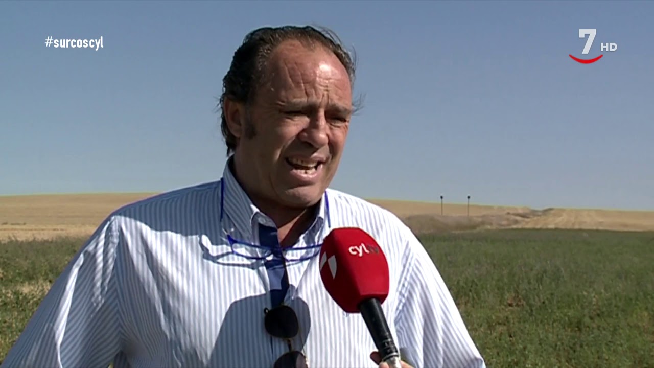 Surcos (434).- El ciclo de cultivo de la Colza