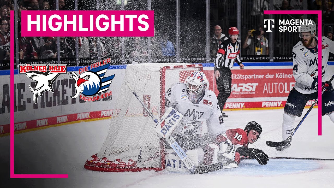 kölner haie adler mannheim live