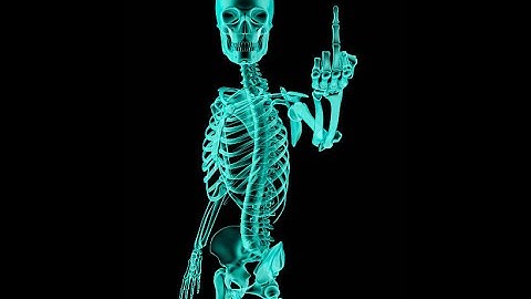 My part in Xray - hosted by Skele