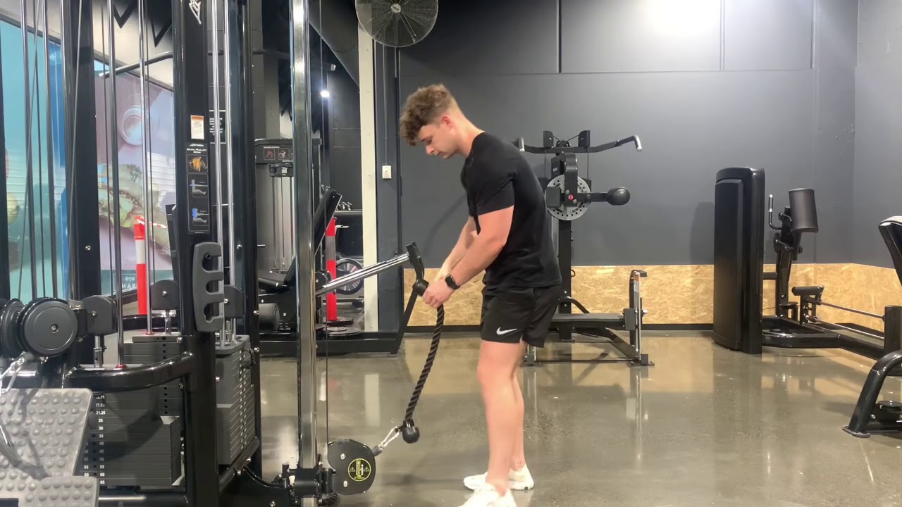 Exercise Tutorial Unilateral Cable Hammer Curl YouTube