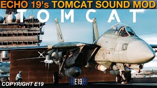 F-14 Tomcat Internal\/External Sound Overhaul By Echo 19: General Guide | DCS WORLD