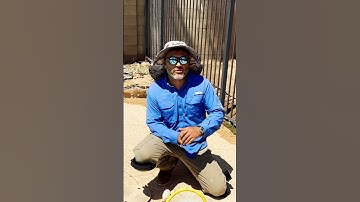 We Found the Weirdest Pool Leak Ever!