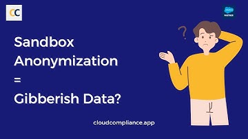 Salesforce Sandbox Anonymization = Gibberish Data?