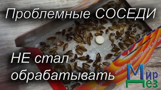 Проблемные соседи. Не стал обрабатывать. МирДез