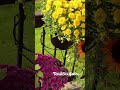 Happy Mum Season from RailScapes™️