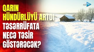 Şaxtalı Hava Ilə Bağlı Bu Bölgədə Komissiya Yaradıldı Güclü Qar Təsərrüfata Necə Təsir Edəcək?