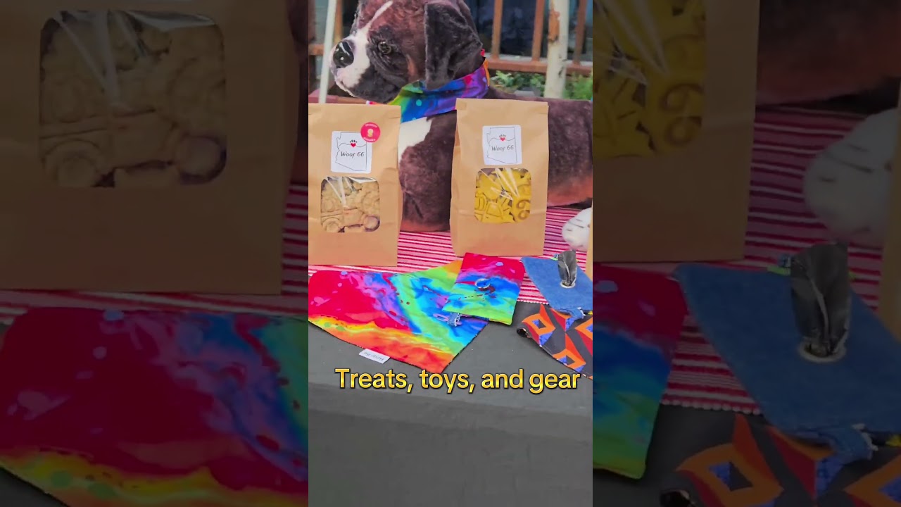 Dogs and Beer. Bark and Brew Flagstaff AZ. 