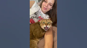 Кошка охраняет ребеночка😻