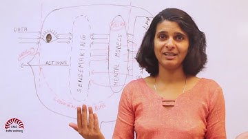 Managing our Inner World Part 12 of 14    Self Efficacy