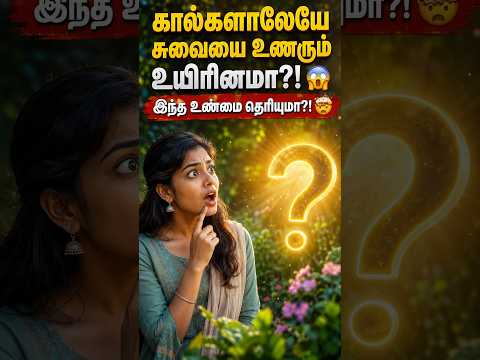 தன் கால்களாலேயே சுவையை உணரும் ஒரு உயிரினமா?