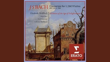Violin Concerto No. 1 in A Minor, BWV 1041: II. Andante