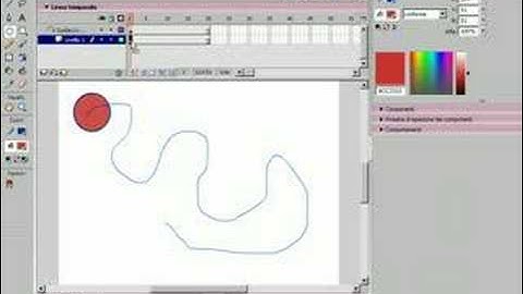 Video - Corso - Macromedia flash - Guida Livello