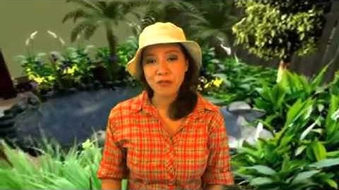 Bird Guide - Indiana Birds Field Guide Review