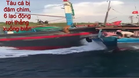 Tàu cá bị đâm chìm, 6 người rơi xuống biển