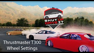 Wheel Settings Guide | Assetto Corsa | Thrustmaster T300