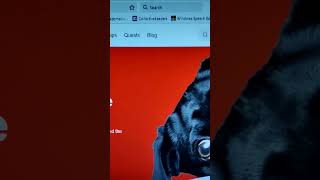 Sell your photos 500px