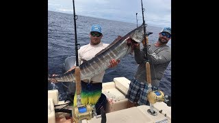 Nc Wahoo Fishing Featuring Capt Ken Showtime Fishing