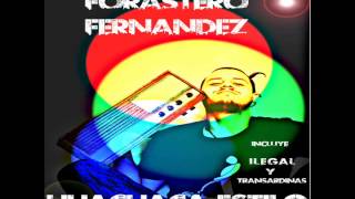 Video voorbeeld van "Forastero Fernandez - ILegal (Oficial)"