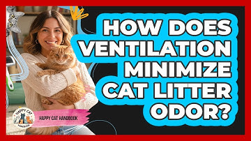 How Does Ventilation Minimize Cat Litter Odor?