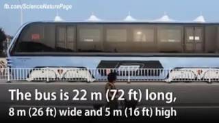 China's Elevated Bus screenshot 5