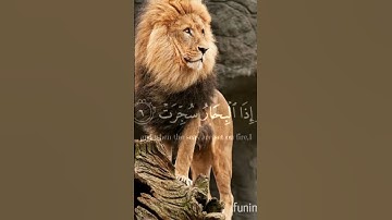 عبد الباسط عبد الصمد #إذا_شمس_كويرت #سورة_التكوير #اكسبلور #duet #تيك_توك #لايك #صباح_الخير # #لايك