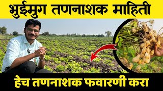 भुईमुग तणनाशक माहिती / bhuimug pikatil tannashak ( Groundnut herbicide )