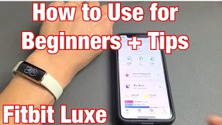 Fitbit Luxe: How to Use for Beginners + Tips (All U Really Need to Know)