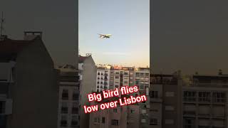Delta A330 flies low on approach to Lisbon airport #a330 #delta #lisbon #justplanes