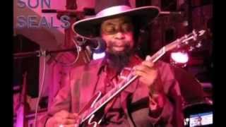 Son Seals ~  ''Tell It To Another Fool''  1991