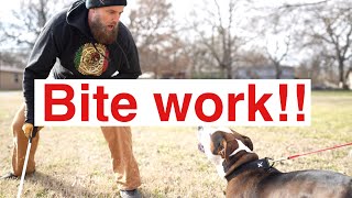 Sony a1 bite work!!! With Stan smith and Chris Moore!!!