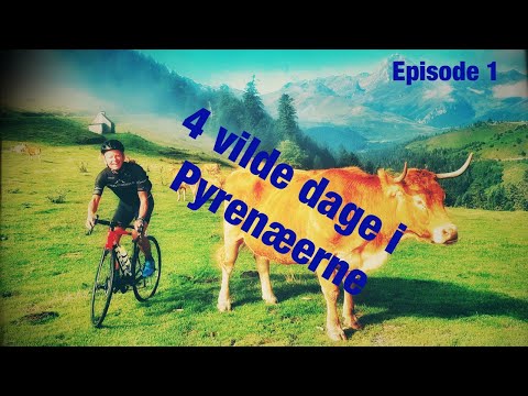 CYKLER DE AFGØRENDE BJERGE FRA TOUR DE FRANCE - BUBBER OG CYKELNERVEN - Episode 1