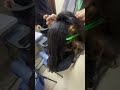 How to do backcombing #hairstyle #freebeautationcourse #hair #hairmaster 