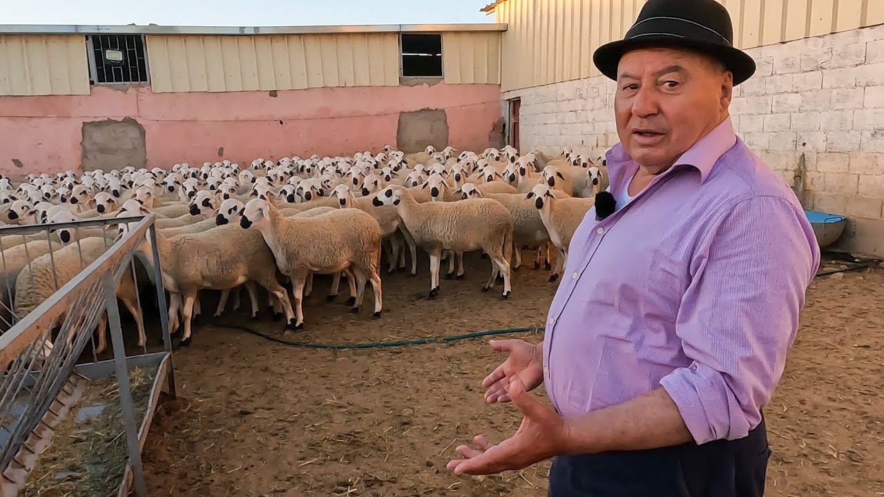 إخوان خليل أكتر من 600 حولية و 150 حولي لي غادين يقدمو هاذ السنة