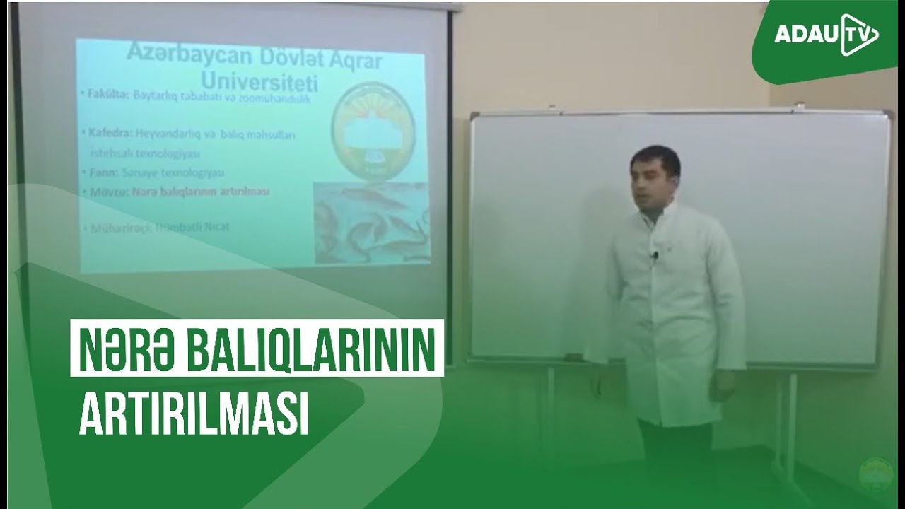 Nərə balıqlarının artırılması (Online dərs - 490)