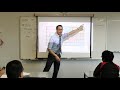 Understanding Polyominoes and Their Properties