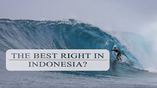 IS RIFLES THE BEST RIGHT IN INDONESIA?