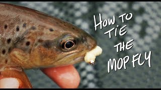 Fly Tying For Beginners | The Mop Fly | How To Tutorial