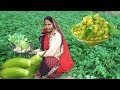 लौकी और पालक की सब्जी बनाने का जबरजस्त तरीका | Lauki aur Palak ki Sabji recipe in hindi