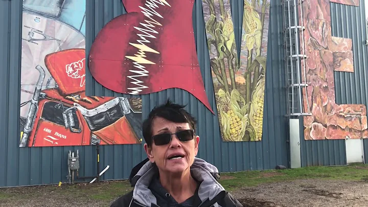 Artists mural unveiled on side of grain silo at Ka...