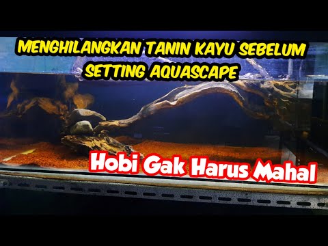 Video: Apakah tanin menyakiti ikan?