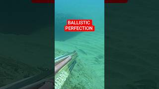 spearfishing | 🎯BALLISTIC PERFECTION - 💥 MATADOR 92 vela - 🇮🇹Nicola Neri