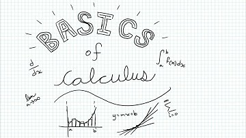 Basics of Calculus Intro Video