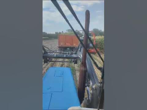 гибрид Болсон_Манас айылы, Талас облусу - YouTube