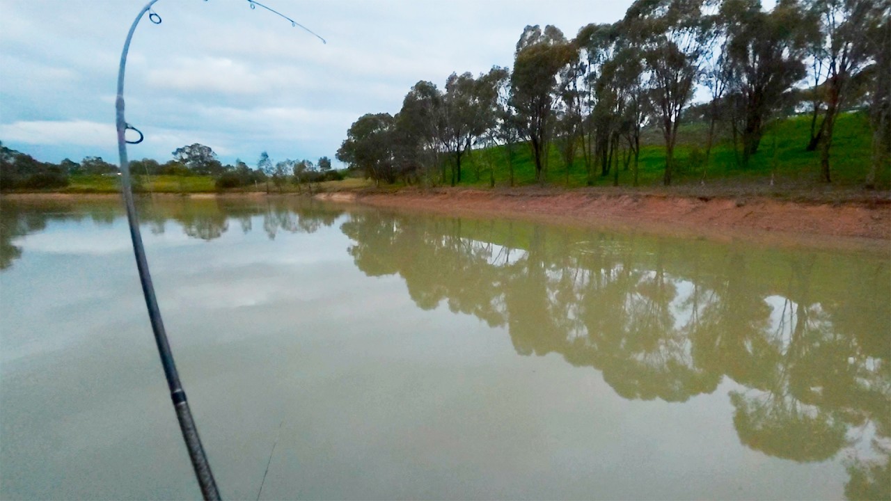 Mid Winter Fishing In The Freeway Dam