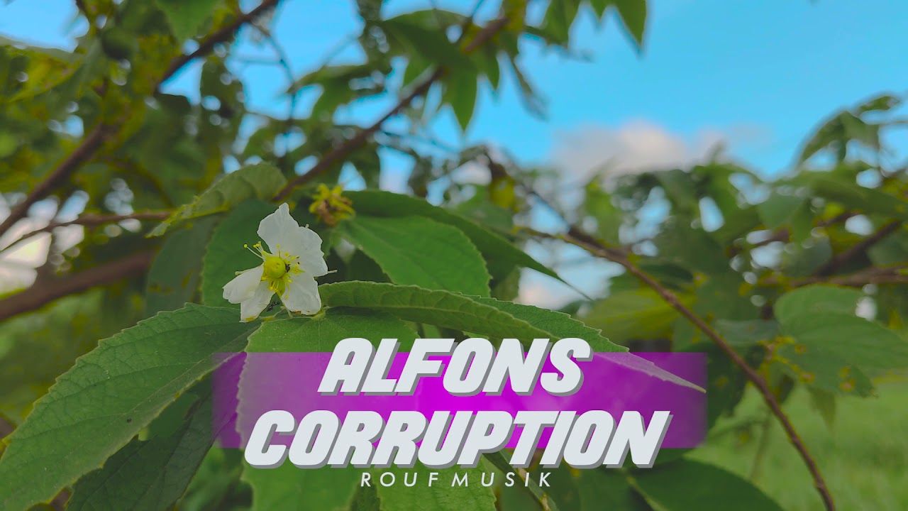 DJ ALFONS CORRUPTION SLOW BASS 69 PROJECT - ROUF MUSIK