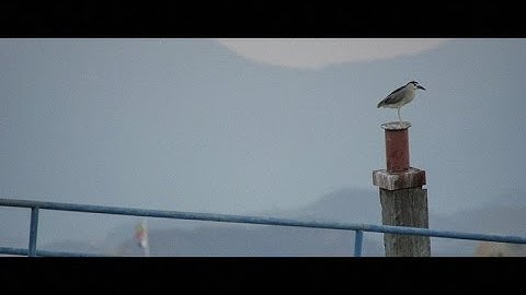 Gregory Chaitin, Against Method. Outtakes: Four of My Heroes